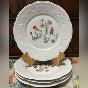 Vintage Berry Wild Flowers Dinner plate set of 4.